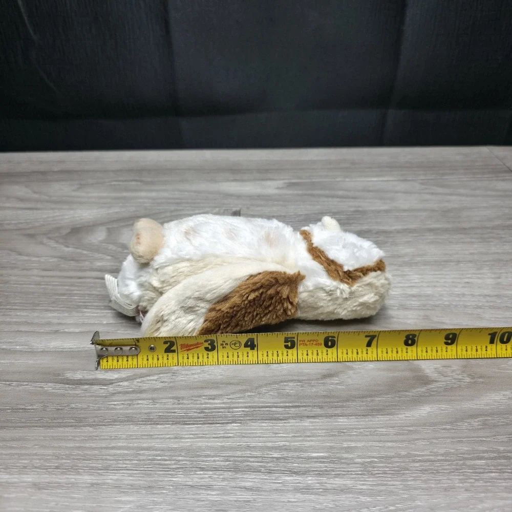 Douglas Rafter‎ the Baby Barn Owl 7